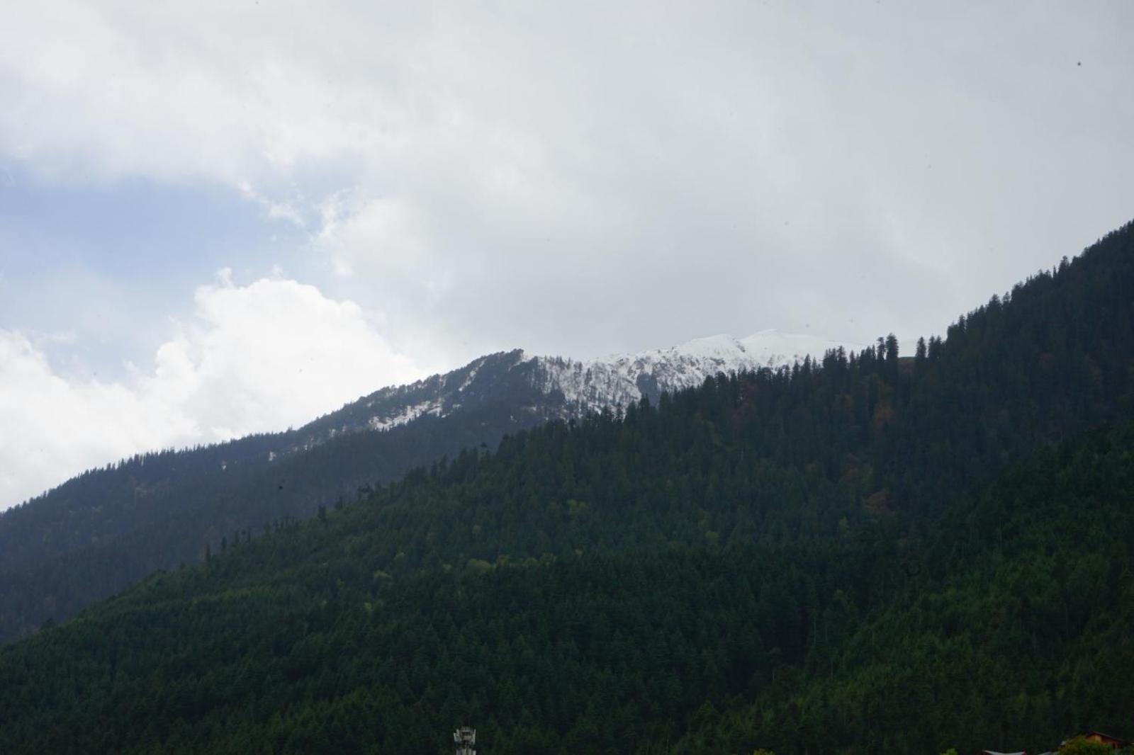 Hotel Magnolia Mallroad Manali Bagian luar foto